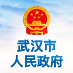 武汉市人民政府app下载-武汉市人民政府政务客户端v0.0.1 安卓版