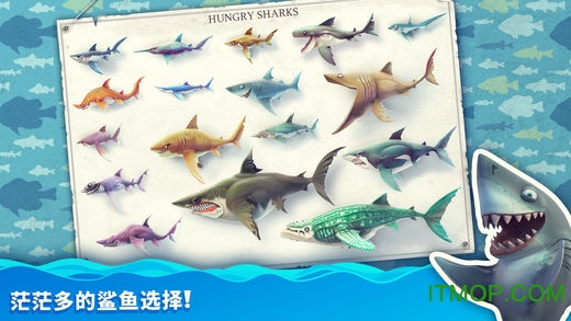 饥饿鲨世界苹果版中文官方下载