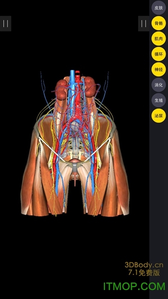 3dbody解剖苹果app v8.7.51 ios版